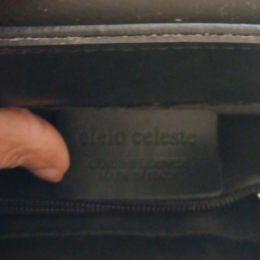 Cielo Celeste - image 2